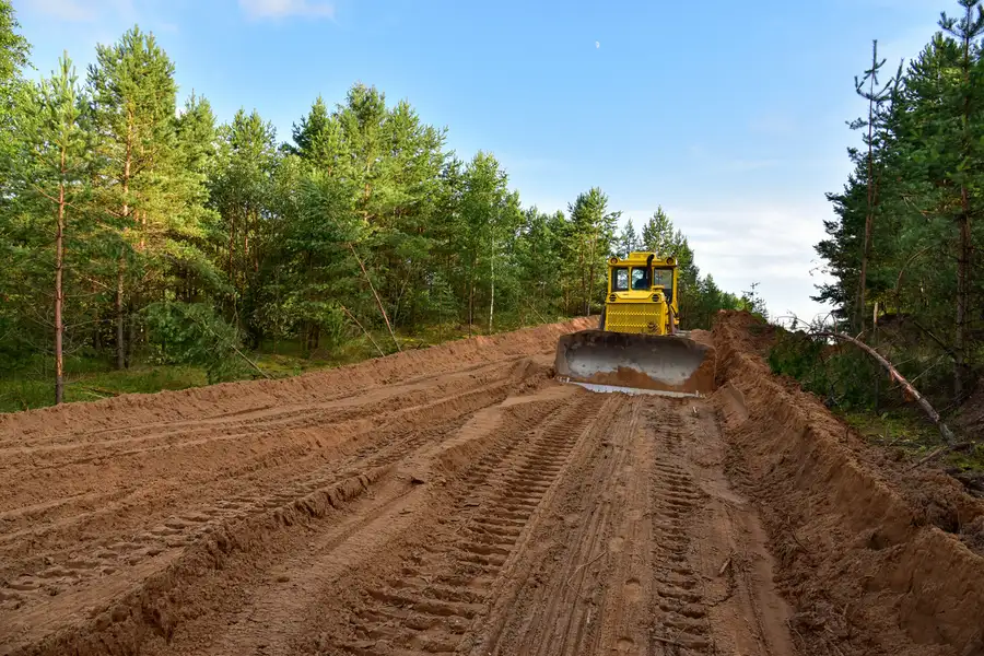 Benefits Of Professional Land Clearing Services in McGregor, TX Benefits Of Professional Land Clearing Services in McGregor, TX