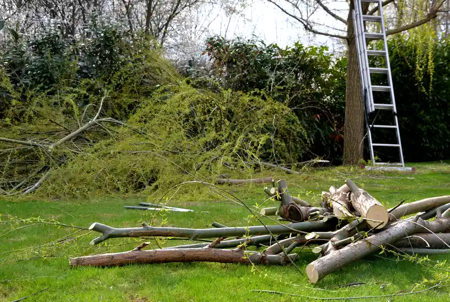 How Land Clearing Services Improve Drainage Conditions in McGregor, TX How Land Clearing Services Improve Drainage Conditions in McGregor, TX