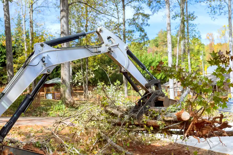 Professional Land Clearing Services McGregor, TX Professional Land Clearing Services McGregor, TX